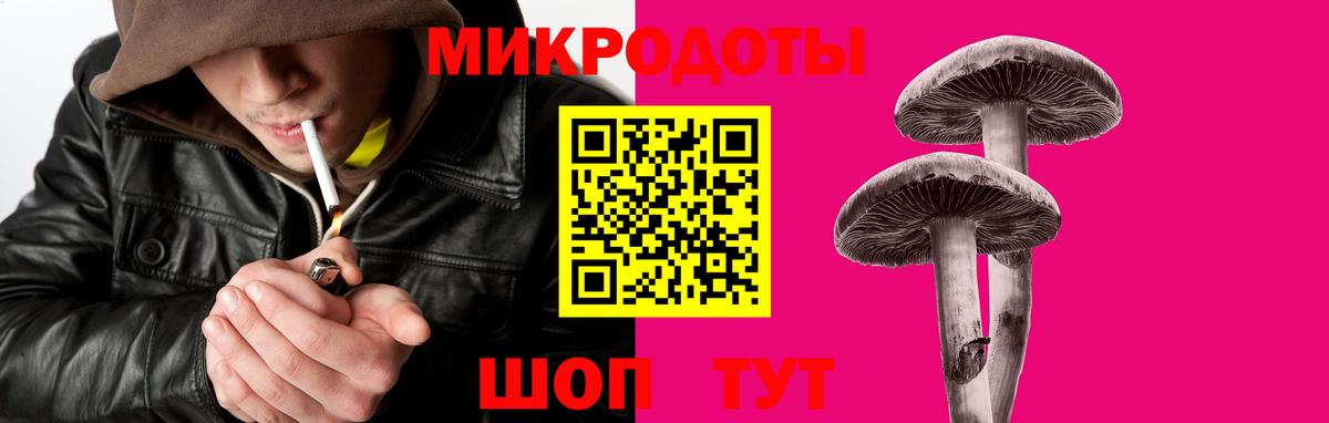 Псилоцибиновые грибы MAGIC MUSHROOMS  Вход с VPN  Галлюциногенные грибы Psilocybe  Фрязино 